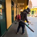 리라초등학교 이미지