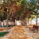 (주)마산관광호텔 이미지