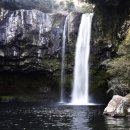 천지연폭포 이미지