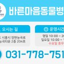 바른마음동물병원 이미지