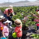 보미나어린이집 이미지