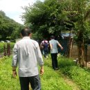 화천흑염소농장 이미지