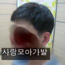 가발, 남자가발, 나는남자다가발, 사랑모아가발, 맞춤가발, 인모가발, 밀란가발, 하이모가발, 밀란가발가격, 하이모가발가격, 노원구가발, 남성가발, 부분가발 이미지