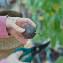 두리농장 이미지