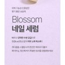 네일블라썸 - 창원시 성산구 | 네일블라썸