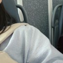 [그린트래블러 X 부경당] 전주 그린스테이에서 하루 자고 자동으로 친환경여행 즐기기