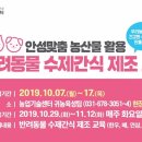 반려동물 수제간식 이미지