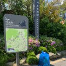 서울시남부도로관리사업소 | 금천구 탐방