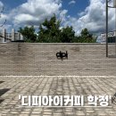 디피아이