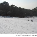 (주)제풀 네이버블로그