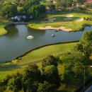 TOP GOLF클럽 이미지