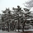 옥빛공원 이미지