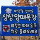 상상목장 이미지