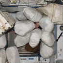 세탁정거장 이미지