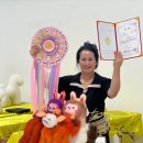 로댕 펫 살롱 이미지