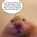도니도니랩