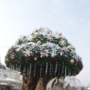에버랜드 설날 당일 눈와서 역대급 눈치작전성공 탈거리, 먹거리, 볼거리 추천