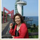 윤정축산 Daum카페