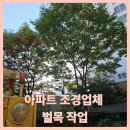 가로등제어 | 송파 아파트 조경업체 벌목 작업