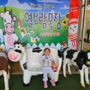 연보람목장 이미지