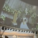 새터스크린 이미지