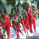 달봉농원 이미지