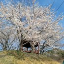 화동못 수변공원 이미지