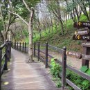 양을산산림욕장 이미지