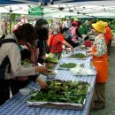 산채건강마을 이미지