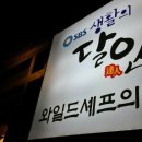 캠핑아일랜드 이미지