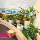 믿음소망치과의원 이미지