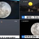 블루문 전자신문