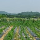 라파엘의원 이미지