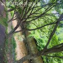 씨밀레자연관광농원 이미지