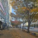 소소 | 부천돈가스맛집 소소카츠 내돈내산 후기