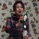 다미촌