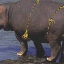 행복한시간 이미지