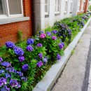 부안동초교 이미지