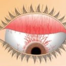 다비치안경전주객사점 이미지