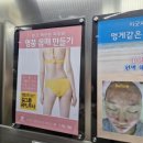 제주필의원 이미지