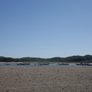 마검포태안캠핑장 - 2329 | 마검포태안캠핑장
