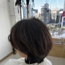 리즈파마 | 신촌 미용실 헤어루아브 신촌연세점 리즈 디자이너 펌