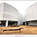 미메시스 아트 뮤지엄 이미지