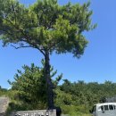 송라 아쿠아 이미지