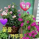 지행이네 이미지