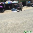 广东省(湛江市) 廉江市 安铺镇 安顺路에서 한여성 오토바이에 설치한 양산 부러지며 목찔러 즉사 이미지