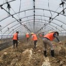 코레일유통(경북) 이미지