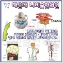 나비솔한의원 이미지