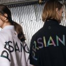 페르시안 캣 이미지