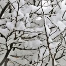 평택미영상의학과의원 이미지